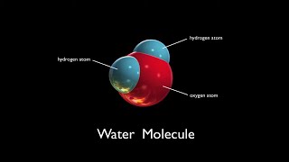 Water Molecules  Arbor Scientific [upl. by Akenaj]