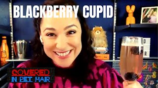 Valentines Day Cocktail Recipe Blackberry Cupid made with bourbon amp sparkling wine shorts [upl. by Aztirak924]