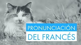 Practica la pronunciación del francés con frases útiles y fáciles [upl. by Ayatal]