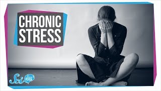 How Chronic Stress Harms Your Body [upl. by Rudolfo]