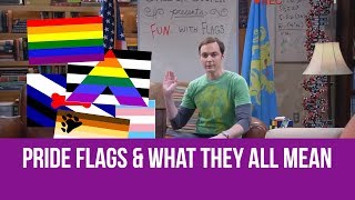 Pride Flags and What They All Mean [upl. by Sallie]