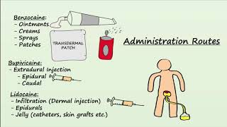 Local Anesthetics  Mechanism Indications amp Side Effects [upl. by Ymmat15]