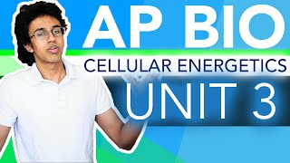 AP Biology Unit 3 Crash Course Cellular Energetics [upl. by Adiesirb32]