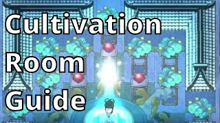 Basic Cultivation Room Guide  Amazing Cultivation Simulator [upl. by Adigun512]