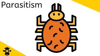 Parasitism Examples [upl. by Teressa]