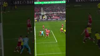 Watford goal vs Middlesbrough [upl. by Pillihpnhoj]