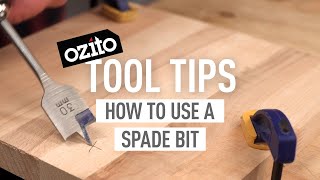 HOW TO USE A SPADE BIT  Ozito Tool Tips [upl. by Kaylee]