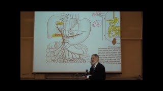 PHARMACOLOGY ROUTES OF DRUG ADMINISTRATION by Professor Fink [upl. by Eldnar]