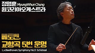 정명훈 amp 원코리아│베토벤 교향곡 5번 운명 LvBeethoven Symphony No5 Schicksal MyungWhun Chung [upl. by Oek251]