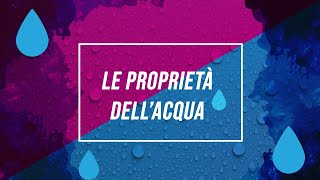 Proprietà dellacqua  Pillole di scienza [upl. by Nakre735]