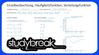 Einzelbeobachtung Häufigkeitsfunktion Verteilungsfunktion  Statistik [upl. by Tamah]