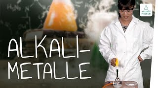 Alkalimetalle I Hauptgruppe Periodensystem I musstewissen Chemie [upl. by Caesaria104]