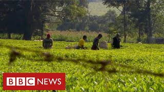 Kenya’s colonial inequalities continue decades after independence  BBC News [upl. by Rimma]