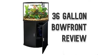 Top Fin 36g Bowfront Aquarium Review [upl. by Razaele]