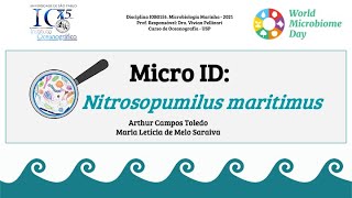 MicroID Nitrosopumilus maritimus [upl. by Mazlack551]