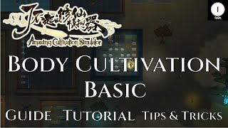 Body Cultivation Basic Guide  Amazing Cultivation Simulator [upl. by Eimat]