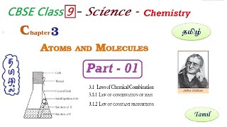 Peripheral T cell Tolerance  Clonal Deletion and Anergy FLImmuno78 [upl. by Ardnaskela]