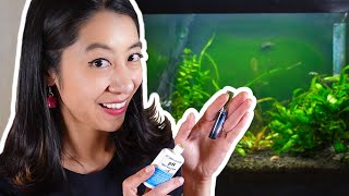 Aquarium pH GH and KH for BEGINNERS​ [upl. by Tarr]