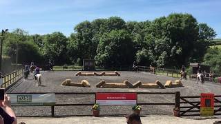 Duchy College Cornwall student horse riding display at Open Day June 2018 Bicton [upl. by Anisah]