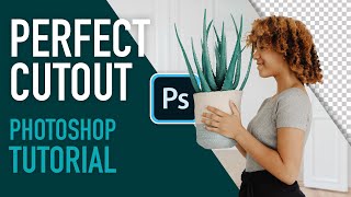 How to create a Perfect Cutout in Photoshop 2020 [upl. by Nola]