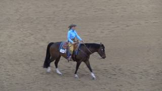 Judges Perspective Rookie Ranch Riding [upl. by Skelly]