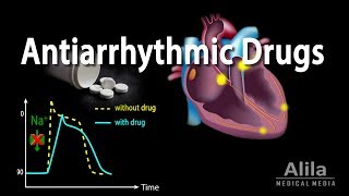 Antiarrhythmic Drugs Animation [upl. by Caty]