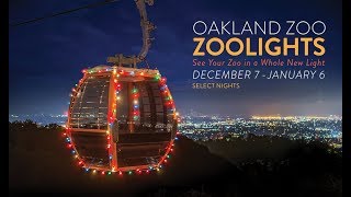 Festive Gondolas at Oakland Zoos ZooLights [upl. by Yvel954]