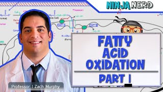 Metabolism  Fatty Acid Oxidation Part 1 [upl. by Collins]