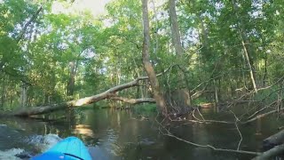 Caught On Camera Alligator Attacks Kayaker [upl. by Cordy752]