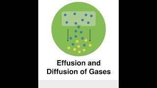 Effusion and Diffusion of Gases [upl. by Ahtelra]