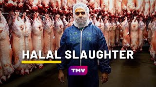 What is HALAL SLAUGHTER QURBANI  Halal Meat Farm 🐑  Being Muslim [upl. by Drahcir]