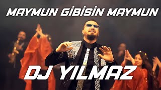 İzmir Gaydası  Dj Yılmaz  Maymun Gibisin Maymun \ Ağır Roman Havası 2020 [upl. by Anneirda]