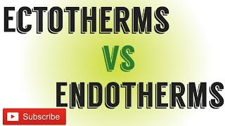 Ectotherms Vs EndothermsDifference between Ectotherms and endotherms [upl. by Keynes]