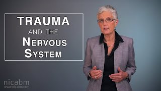 Trauma and the Nervous System and strategies to work with it [upl. by Novyart]