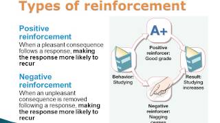 Operant Conditioning Positive and Negative Reinforcement and Punishment [upl. by Hahnke116]