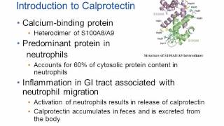 Calprotectin and Inflammatory Bowel Disease Hot Topic [upl. by Stelmach]