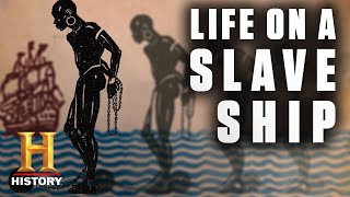 Life Aboard a Slave Ship  History [upl. by Nnaycart]