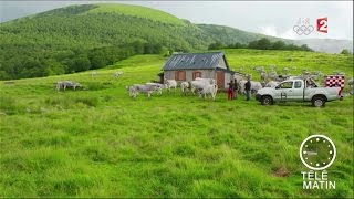 Marchés  Un été en Ariège [upl. by Adnaugal]