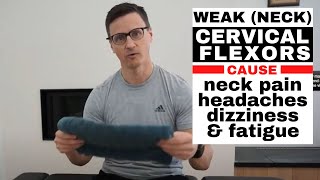 How to Strengthen your DEEP Neck Cervical Flexors [upl. by Leterg965]