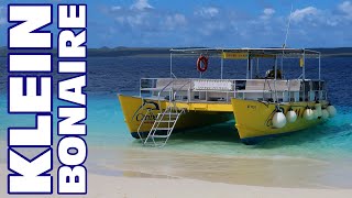 Our Day With Caribe Watersport  Snorkeling At Klein Bonaire  March 2020 Cruise Vlog  ParoDeeJay [upl. by Adnole]