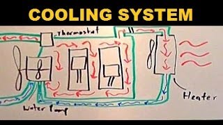 Radiators  Explained [upl. by Tammara]