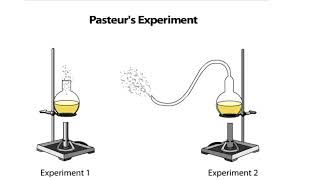 Pasteurs Experiment [upl. by Yenolem]