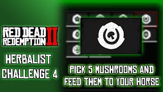 RDR2 Herbalist Challenge 4 Pick Five Mushrooms and Feed them to your Horse [upl. by Halas]