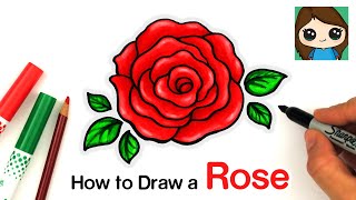 How to Draw an Open Rose EASY [upl. by Hahnke]