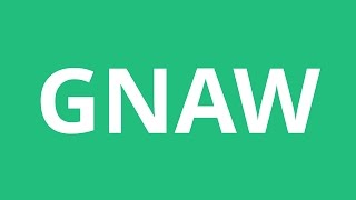 How To Pronounce Gnaw  Pronunciation Academy [upl. by Gothart568]