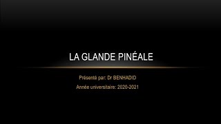 Glande Pinéale Histologie [upl. by Tnarb736]