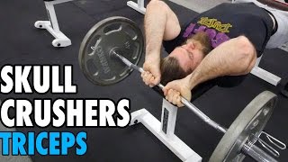 Skull Crushers  Triceps  HowTo Exercise Tutorial [upl. by Niveb]