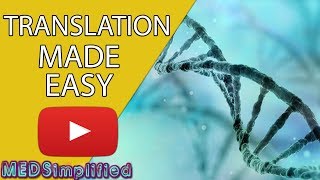 DNA Translation Made Easy [upl. by Aisset]