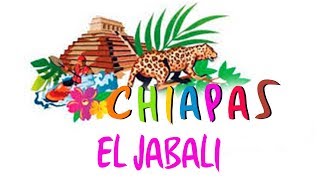 Chiapas  El Jabali [upl. by Leachim]