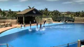 uShaka Marine World Durban Attraction KwaZulu Natal [upl. by Anid101]